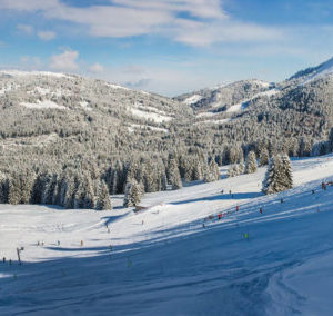les_paccots_1_334592-400x284